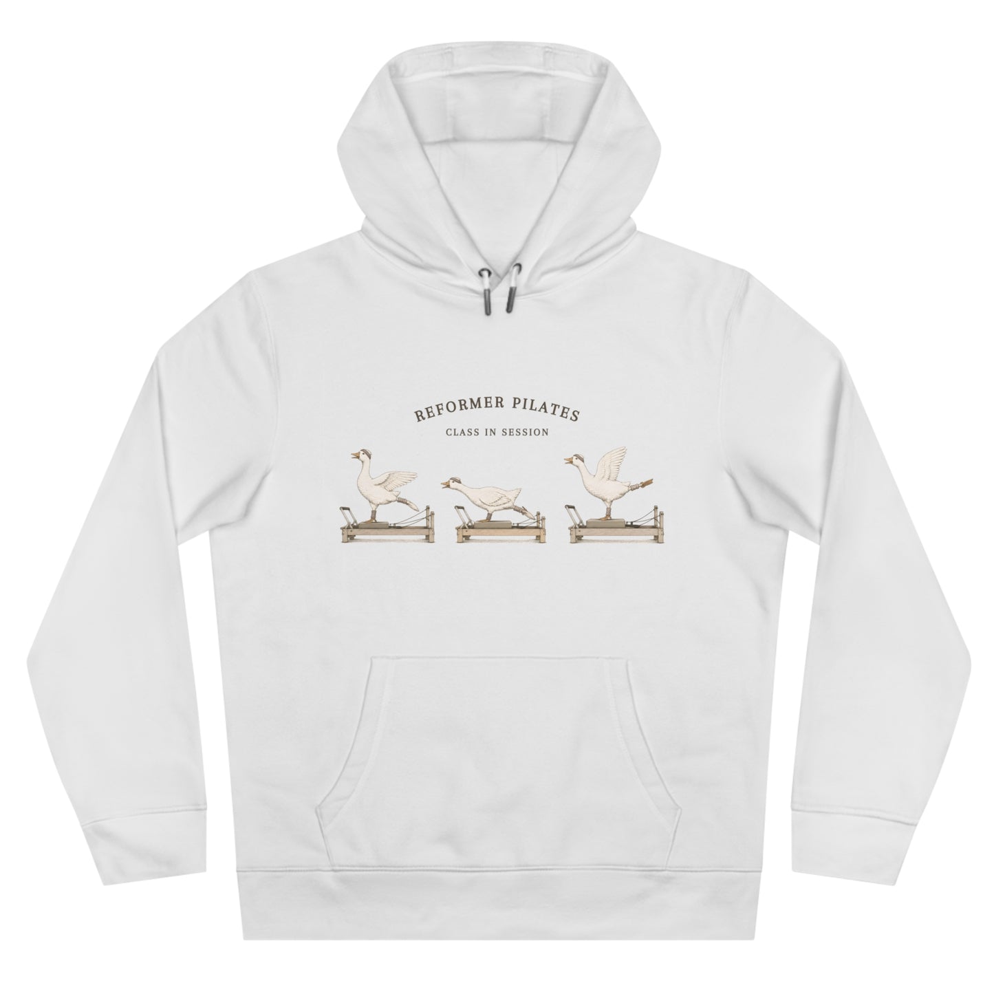 Pilates Geese Unisex Hoodie