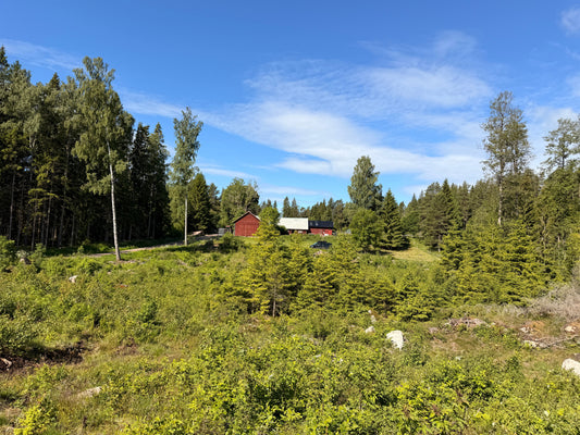 Lagom — was uns Schweden über das genau richtige Maß im Leben lehrt