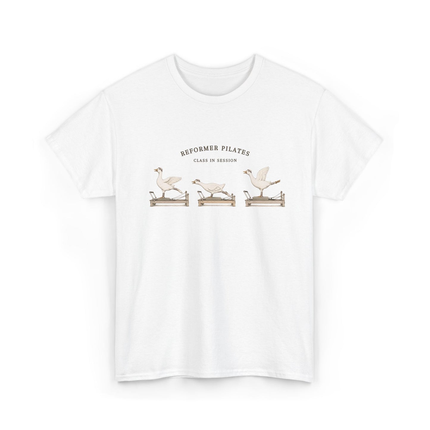 Pilates Geese Unisex T-Shirt
