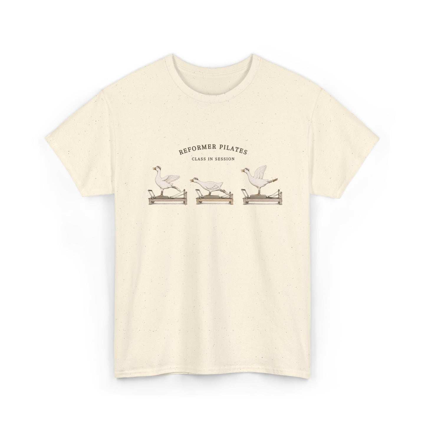 Pilates Geese Unisex T-Shirt