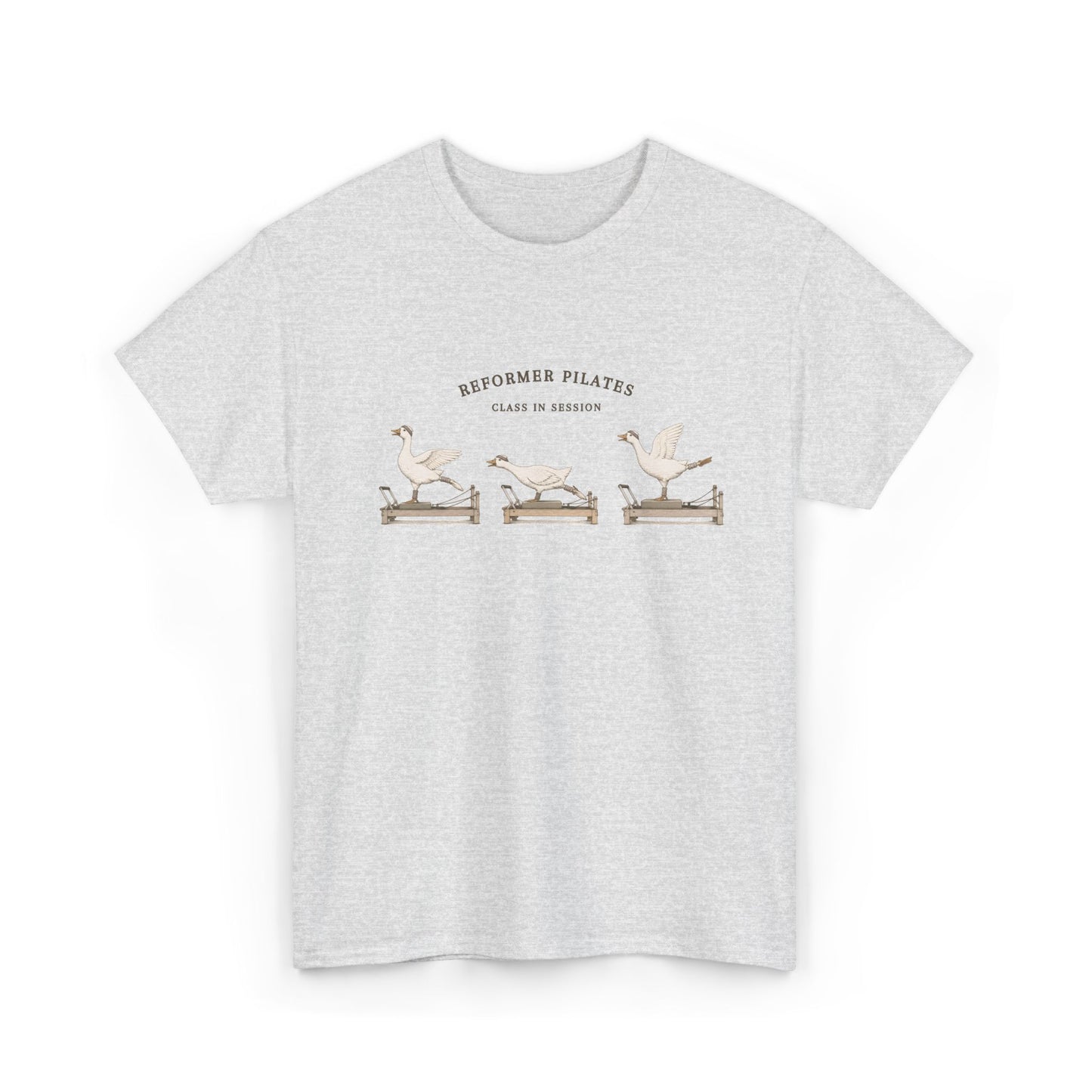 Pilates Geese Unisex T-Shirt